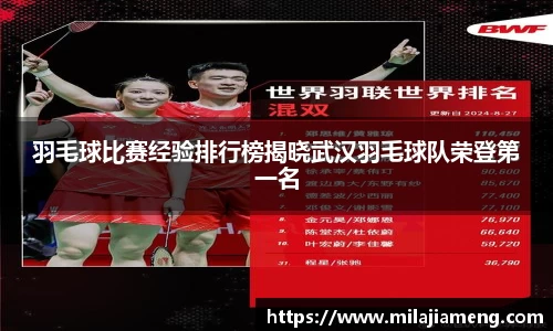 羽毛球比赛经验排行榜揭晓武汉羽毛球队荣登第一名